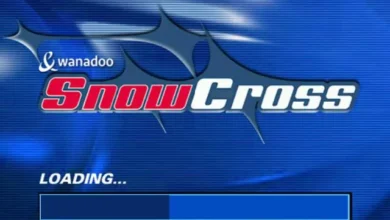 Snow Cross